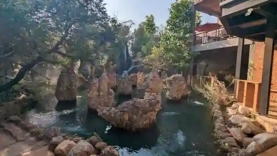 清邁大象營+天使瀑布咖啡+清邁老虎王國一日遊《中文專車服務》