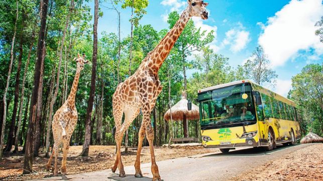 富國島珍珠遊樂園和野生動物園一日遊【包含車接送 + 門票】