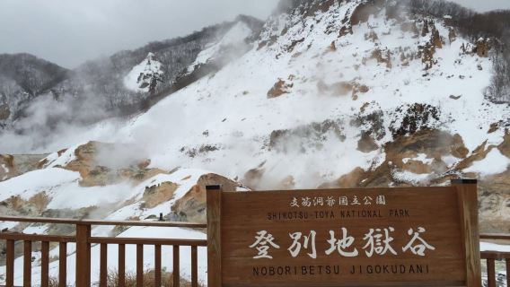 登別地獄谷+登別熊牧場+洞爺湖【中文包車】