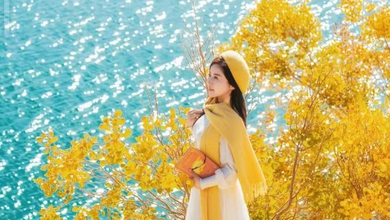 【包車遊】尉犁縣葫蘆島+塔克拉瑪干沙漠+胡楊包車一日遊