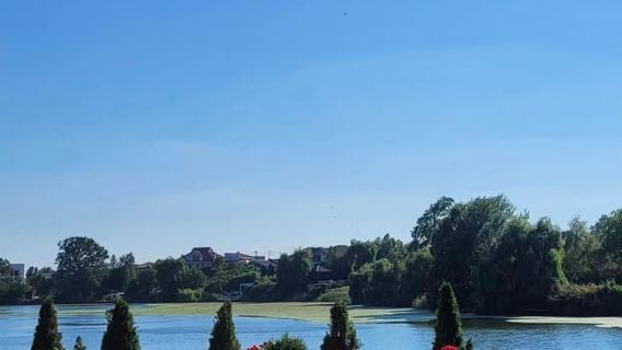 จากบูคาเรสต์: พระราชวังโมโกโซเอียและอารามสนาโกฟ