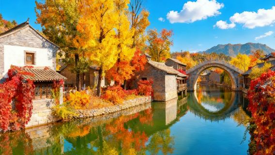 Beijing W Town 1-day tour [visit Jiangnan Water Town/watch the light and water show/optional meal included]