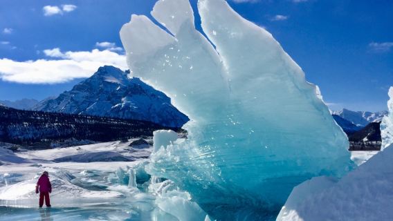 阿拉斯加安克雷奇〈馬塔努斯卡冰川徒步一日遊〉