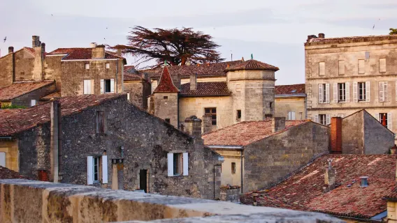 [Khởi hành từ Bordeaux] Tour ghép nửa ngày tham quan nhà máy rượu Saint-Émilion