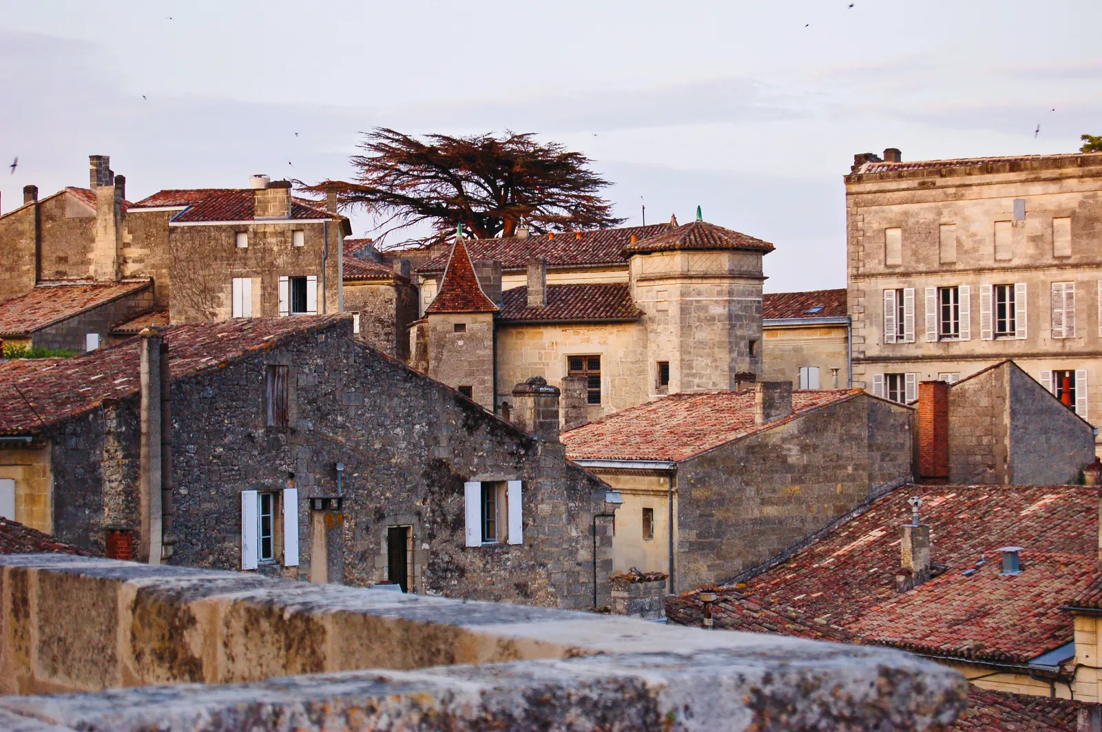 Half-day join-in tour to St-Emilion winery from Bordeaux