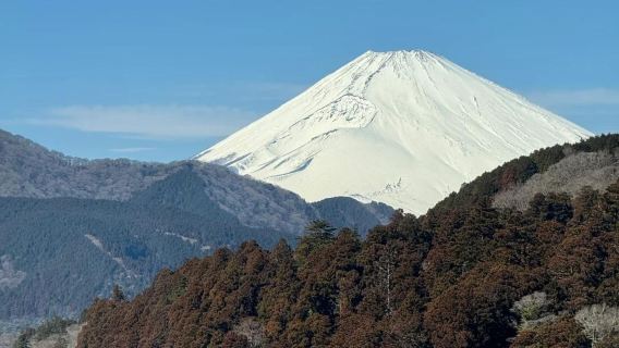 日本東京/箱根/橫濱/鐮倉/山/任選關東一日包車-諮詢立減