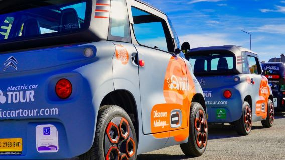Parque Natural Montes de Málaga: Tour en Coche Eléctrico con Guía + Comida