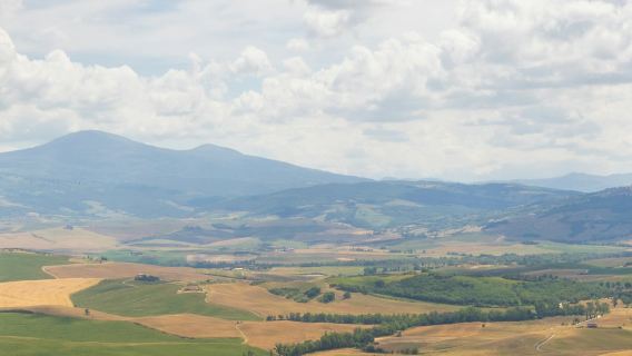 モンテリッジョーニとオルチャ渓谷：フィレンツェからのバス送迎