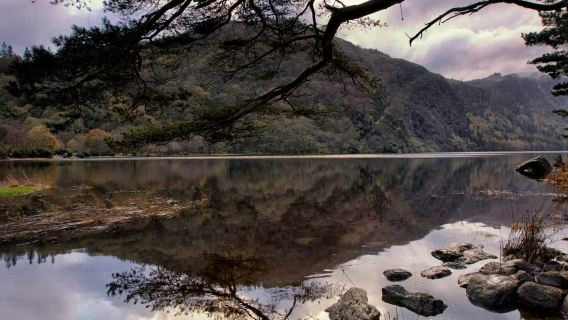 Wicklow, Glendalough & Kilkenny: Tour with Sheep Demonstration + Hotel Pick Up