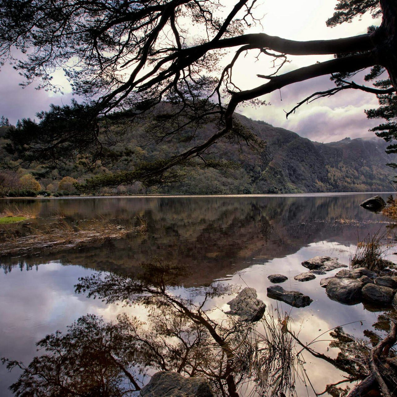 Wicklow, Glendalough & Kilkenny: Tour with Sheep Demonstration + Hotel Pick Up