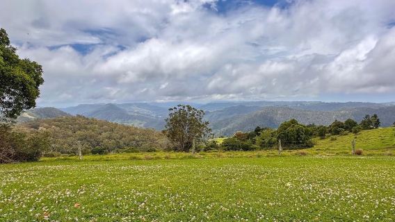 Australia's Gold Coast|Lamington National Park & Vineyard & Family-Friendly Tour & Hiking Enthusiasts