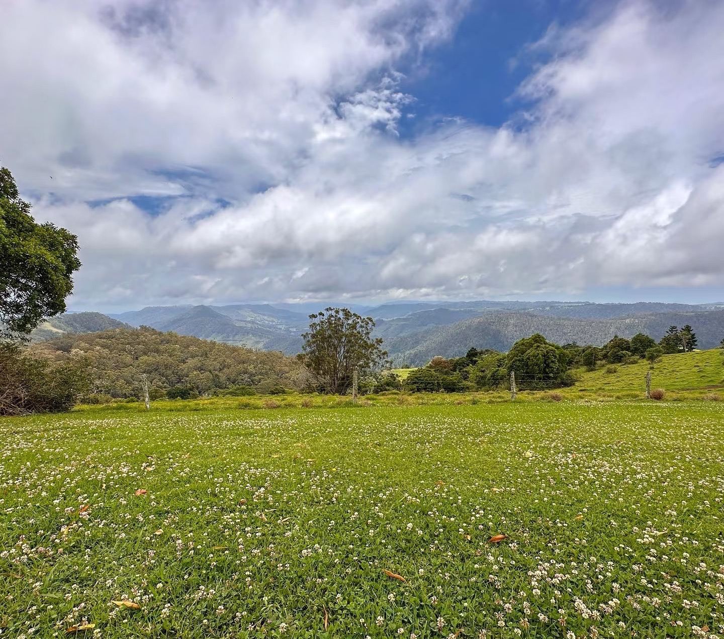 Australia's Gold Coast|Lamington National Park & Vineyard & Family-Friendly Tour & Hiking Enthusiasts