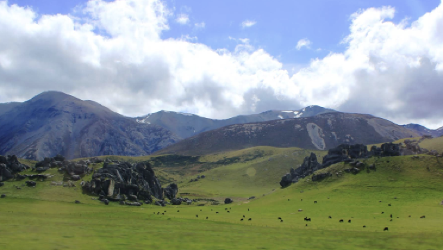 Christchurch - Fox Glacier + Lake Matheson Customized Tour [Chinese-Speaking Private Vehicle - Comfortable & Relaxing]