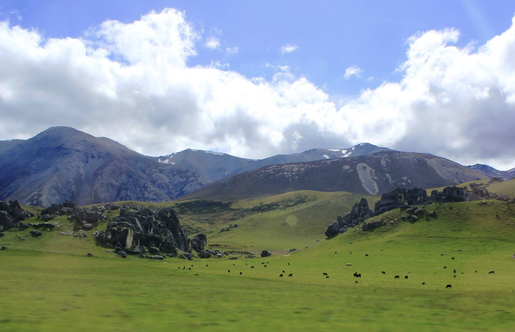 新西蘭基督城-福克斯冰川+馬松森湖定制【中文專車-愜意舒適】