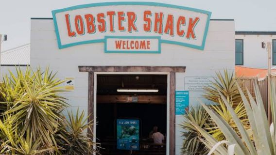 珀斯 尖峯石陣一日遊