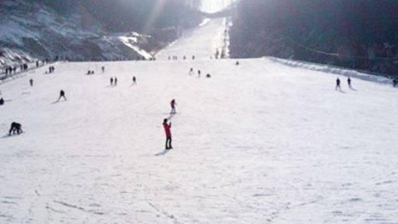 天龍池滑雪世界一日遊【南陽出發，含車費＋滑雪票+基本雪具】