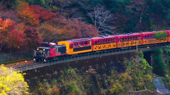 교토 나라 당일 치기 여행|아라시야마 관광열차 + 나라 공원 + 후시미 이나리 + 오사카 출발