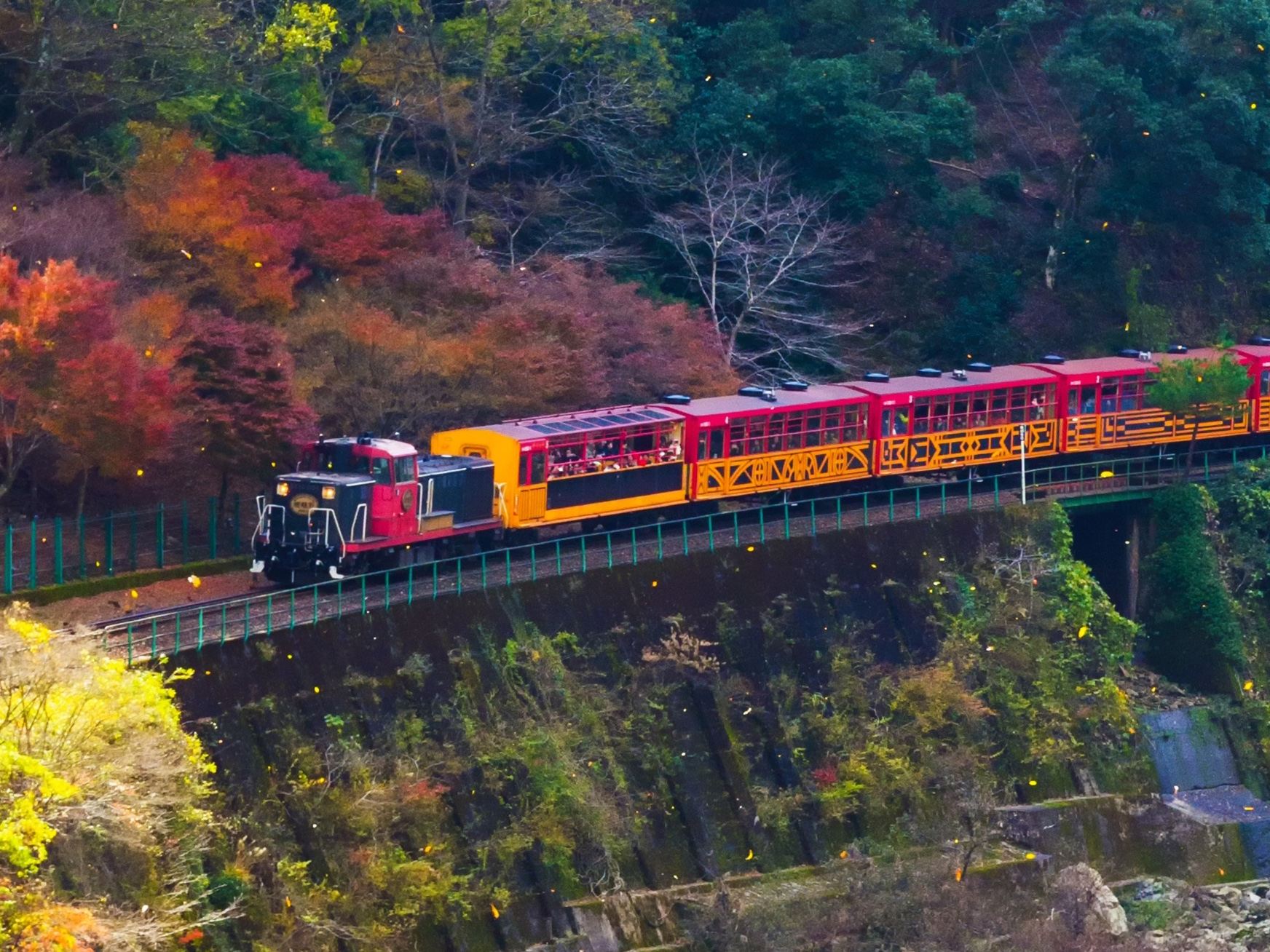 Kyoto Nara 1-Day Tour|Arashiyama train + Nara Park + Fushimi Inari + Departure from Osaka