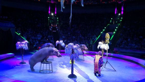 Большой Московский Государственный Цирк в Москве | Вход по электронным билетам | Удобно и быстро