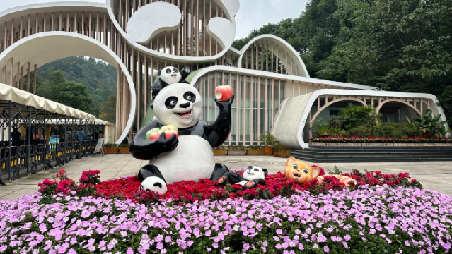 都江堰+熊貓谷①日【包車遊】①人價=①單=①車+旅遊保險合約