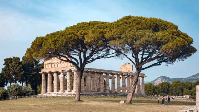 【古希臘遺夢】帕埃斯圖姆考古遺址+波西塔諾懸崖小鎮包車一日遊