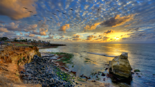 1-day tour to SeaWorld San Diego + Old Town + Sunset Cliffs Natural Park