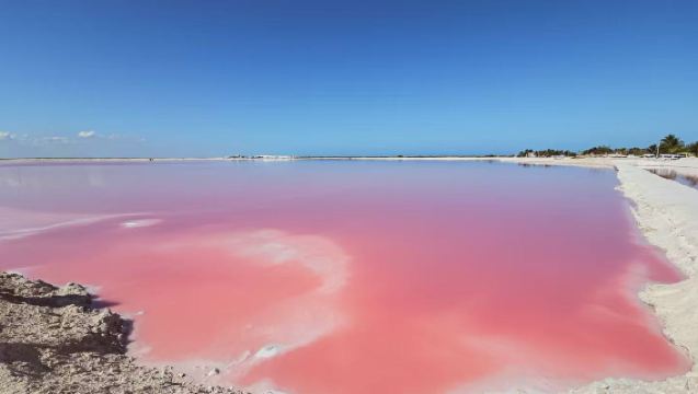[Servicio de coche privado con conductor preferente] Cancún: Playa Las Coloradas + Ría Lagartos [Excursión con coche privado con conductor - recogida en el hotel]