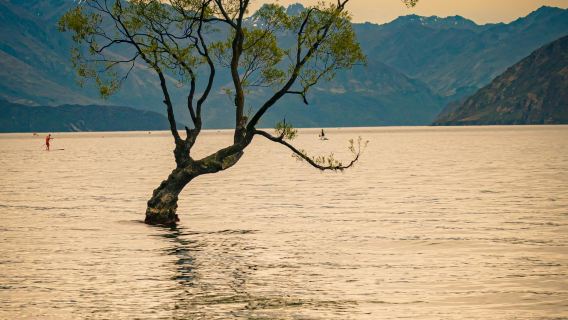 Half-day round-trip tour from Queenstown to Wanaka + Arrowtown [Puzzling World | Chinese small group]