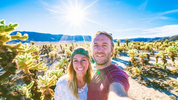Joshua Tree National Park Small Group Day Tour from Los Angeles