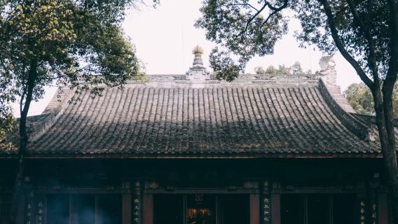 【大笙說】樂山大佛2.5小時深度導覽／精品小團／可選私家團／含耳機／親子出遊