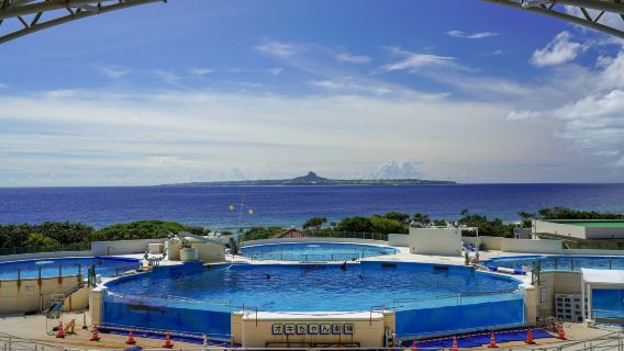 1-day classic tour to Okinawa north and central - Kouri Island, Churaumi Aquarium, Aeon Mall Rycom and American Village