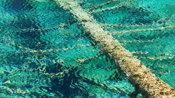 Jiuzhaigou National Park 1-day tour | Round-trip by high-speed rail from Chengdu | Top attractions + optional English guide