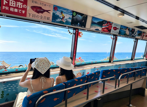 Private chartered tour in Tokyo and Izu to Mt. Omuro + Jogasaki