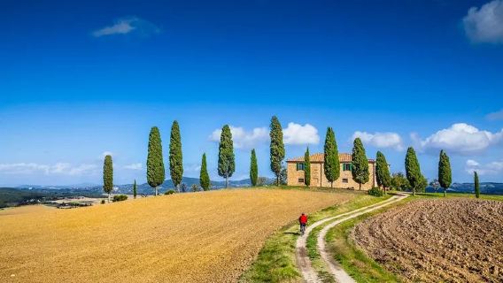 Jednodniowa wycieczka z Florencji do Toskanii (starożytne miasto Siena + miasteczko Pienza + droga cyprysowa w Val d'Orcia)