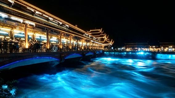 Perjalanan satu hari di Panda Besar Chengdu + Dujiangyan (tidak termasuk tiket masuk)
