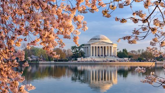 Half-day tour of Washington, D.C., USA | Day or night tour optional + complimentary admission to the National Air and Space Museum