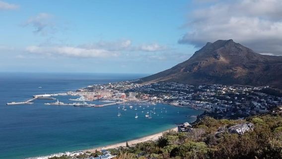 Cape Town: Cape of Good Hope Afternoon Tour and Penguins