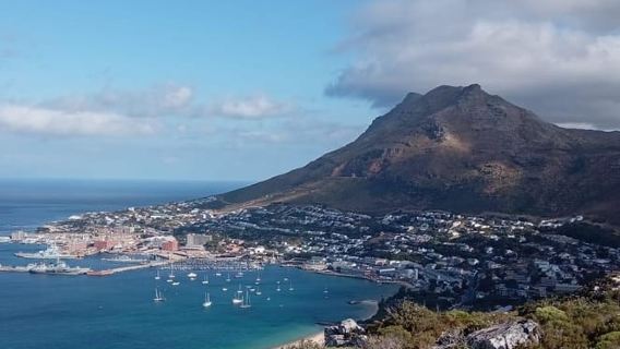 Cape Town: Cape of Good Hope Afternoon Tour and Penguins
