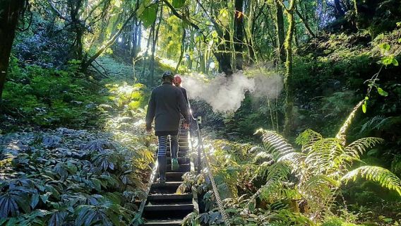 Fuera de lo convencional – Tour de la cueva de luciérnagas en Waitomo