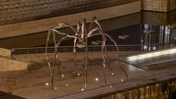 Guided visit of the exterior and admission to the Guggenheim Museum