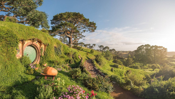 Tour 1 ngày tham quan Làng Hobbit, New Zealand khứ hồi Auckland [bao gồm buffet | hướng dẫn viên tiếng Anh]