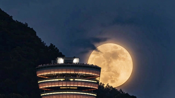 Landing check-in | Chongqing - Nanshan A Tree observation deck admission ticket + Sky City aerial photography
