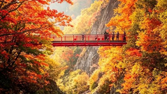 北海道|溪谷秋紅暖泉悠遊，探秘河童古老傳說精講3小時12PM