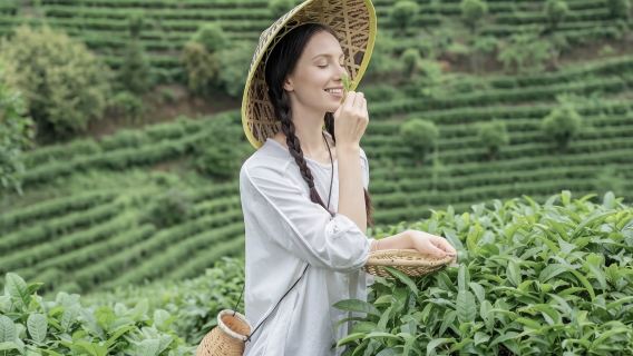Yangshuo Ten‑Mile Gallery Sightseeing+Yulong River Bamboo Raft+Tea Picking&Making Day Tour