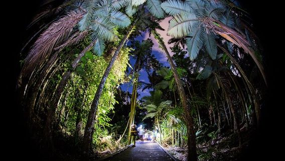 CairnsTours