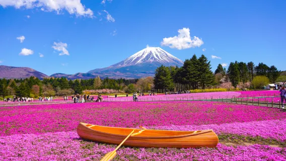 Tur Sehari Gunung Fuji, Kawaguchiko, Yamanakako di Tokyo (Perjalanan Lambat ke Danau Kembar Gunung Fuji)