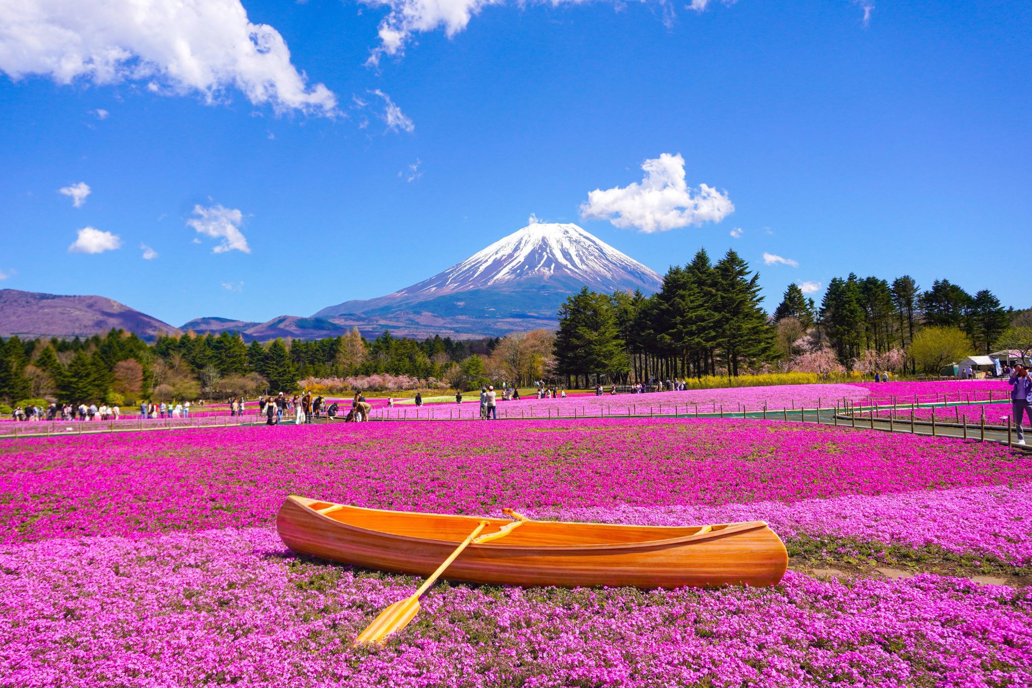 Excursión de un día al Monte Fuji, el lago Kawaguchi y el lago Yamanaka desde Tokio (un viaje tranquilo a los dos lagos del Monte Fuji)