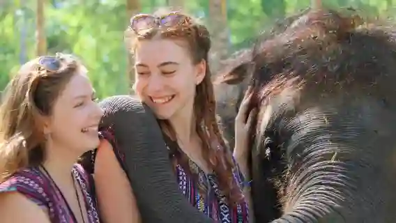 【暢遊曼谷大象營】親密接觸大象，餵食嬉水樂無窮！