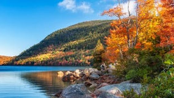 Bar Harbor