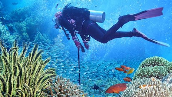 Zanzibar CityExperiences